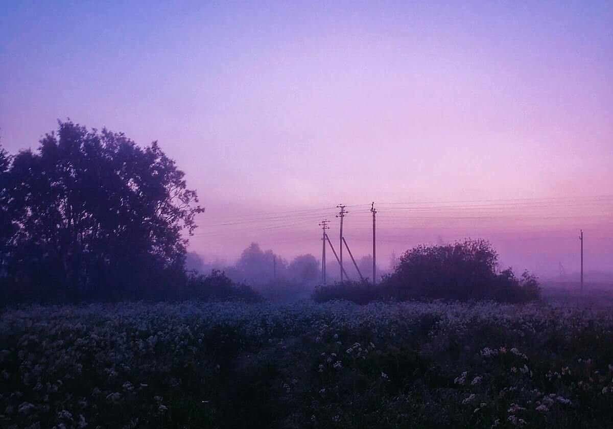 米乐官方网站：开启智慧生活的新入口